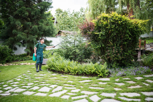 Best Best Pest Control Companies  in Elizabethtown, PA