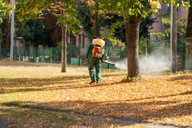 Best Mosquito Control Services  in Elizabethtown, PA