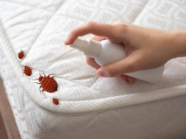 Best Best Pest Control Companies  in Elizabethtown, PA