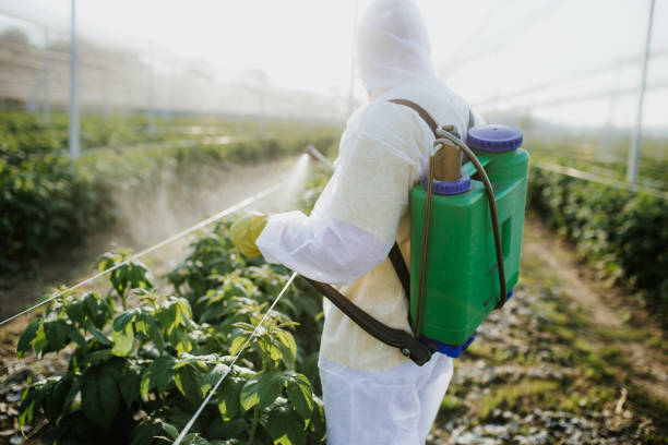 Best Wasp Removal Services  in Elizabethtown, PA
